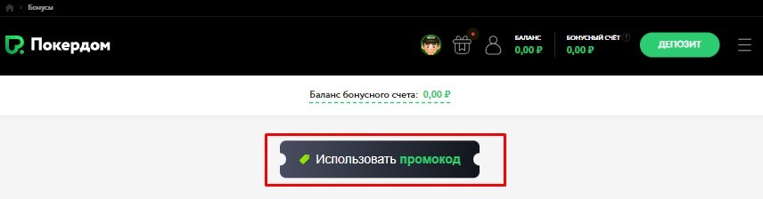 Поле для промокода